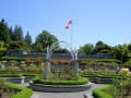 The U.B.C. rose garden